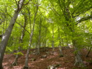 Sentiero verso Corma Ordieri