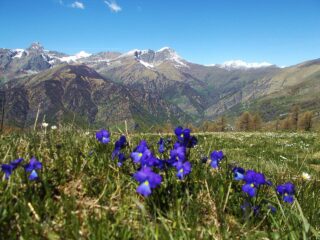 vista su Chersogno ,Marchisa,Pelvo 