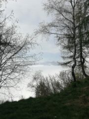 Quasi sul sentiero