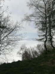 Quasi sul sentiero