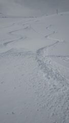 Exif_JPEG_420