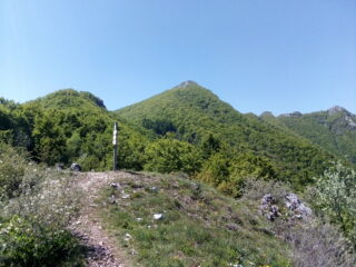 La cima vista dalla Colla delle Piastre.