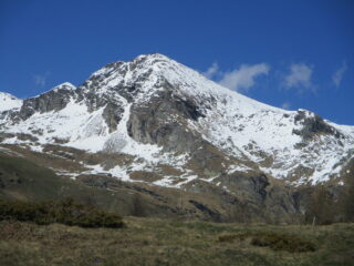 cima
