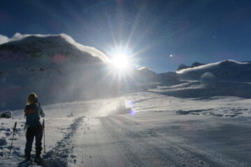 da Plan Maison gatti in azione