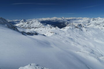 il Ventina immacolato