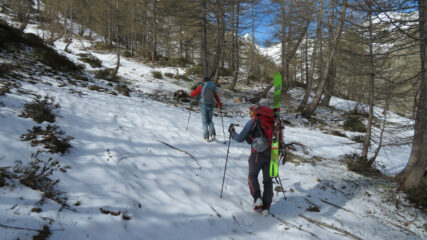 Arrivo alla neve