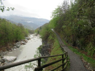 Tratto del Lungo Tanaro