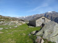 alpe Contessa Ricardi