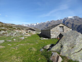 alpe Contessa Ricardi