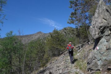 La bella mulattiera verso il colle