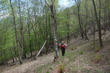 Nel bel bosco verso Col cresta