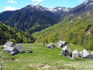L'Alpe Cortina con sullo sfondo Mater, Margineta e Loccia di Peve.