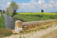 Il Ponte Crocetta sul Navillotto di Saluggia in una fioritura di colza
