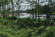 L’arrivo sul fiume Sesia