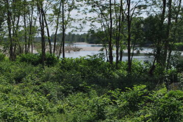 L’arrivo sul fiume Sesia