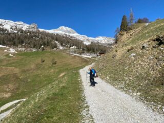 All'intermedia inizia la neve continua