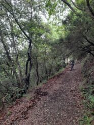 Lungo la sterrata in salita