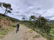 Lungo l'anello della deiva