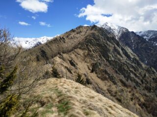 Dalla Tavorna, cresta verso le Gheule.