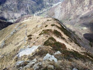 Discesa dalla Punta maggiore delle Gheule verso Cernisio.