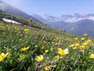 panorama verso le cime più alte delle Liguri