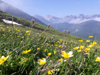 panorama verso le cime più alte delle Liguri