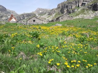 Il Bivacco Cecilia Genisio all'Alpe Vaillet