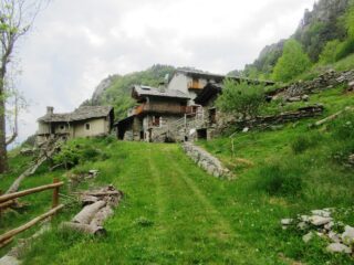 Fornelle