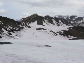 Pelaou Blanc assai spoglio