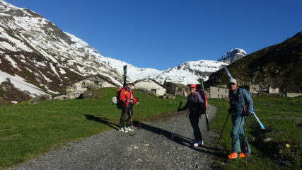 Grand Alpe