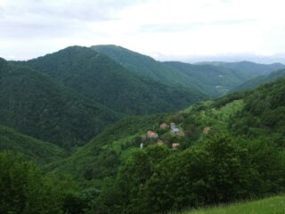 Dalla Costa del Fo' panorama sulla Val Noci con Monte Lago ed Alpesisa sullo sfondo