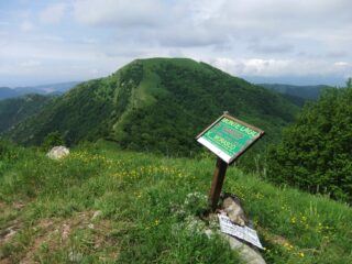 Alpesisa dal Monte Lago 