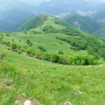 Verdi prati sotto l' Alpesisa