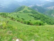 Verdi prati sotto l' Alpesisa