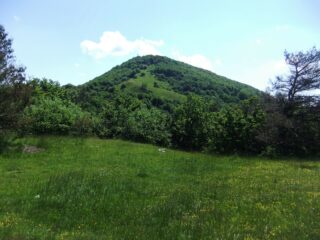 Il Monte Lingo