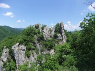 Pinnacoli salendo alla Rocca Barbena