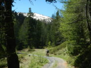 Cima Fournier sullo sfondo