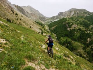 Traverso a riprendere il guado del mattino 