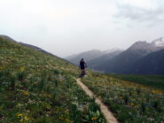 traverso sul verde plateau de Mallemort