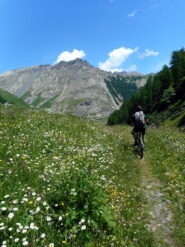 nella parte bassa della discesa