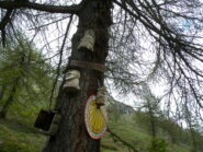 Simpatiche sculture nella piana Cerogne
(cassetta con quaderno di passaggio)