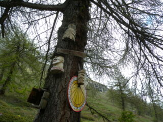Simpatiche sculture nella piana Cerogne
(cassetta con quaderno di passaggio)