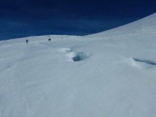 buchetti