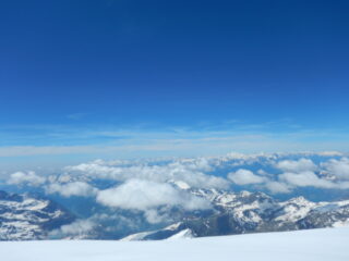 in cima