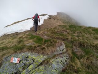 Verso la vetta del Monte Tovo.