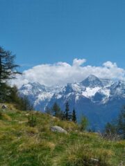 panorami