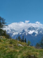 panorami