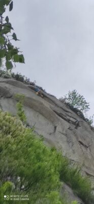 Il Rouge con le mani nella fessura del coccodrillo