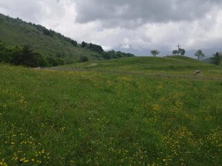 Verdi prati verso l'Alpe