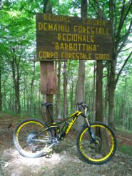 inizio foresta Barbottina